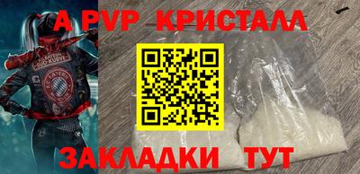 бошки Тверь
