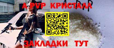 бошки Тверь